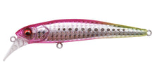 Load image into Gallery viewer, Halibut 90
