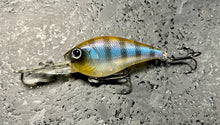 Load image into Gallery viewer, SKT Crankbaits
