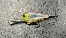 Load image into Gallery viewer, SKT Crankbaits
