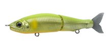 Load image into Gallery viewer, Jointed Claw 70
