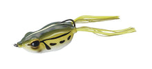 Load image into Gallery viewer, Kicker Frog Jr
