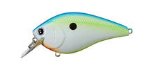 Load image into Gallery viewer, LC 1.5 Crankbaits
