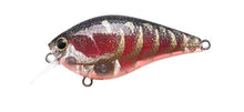 Load image into Gallery viewer, LC 1.5 Crankbaits
