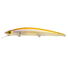 Load image into Gallery viewer, Level Minnow
