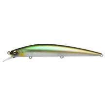 Load image into Gallery viewer, Level Minnow
