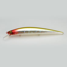 Load image into Gallery viewer, Level Minnow
