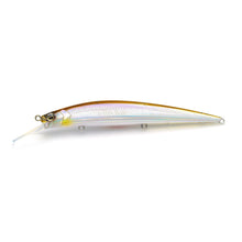 Load image into Gallery viewer, Level Minnow Plus
