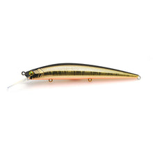 Load image into Gallery viewer, Level Minnow Plus
