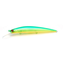 Load image into Gallery viewer, Level Minnow Plus
