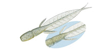 Load image into Gallery viewer, C-4 Leech
