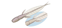 Load image into Gallery viewer, C-4 Leech
