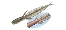 Load image into Gallery viewer, C-4 Leech
