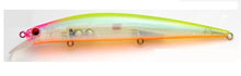 Load image into Gallery viewer, Level Minnow
