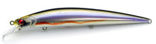 Load image into Gallery viewer, Level Minnow
