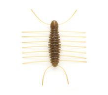 Load image into Gallery viewer, Miharamushi Pellet Bug
