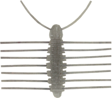 Load image into Gallery viewer, Miharamushi Pellet Bug
