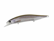 Load image into Gallery viewer, Jerkbait 100DR
