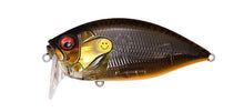 Load image into Gallery viewer, ORC Burning Shad
