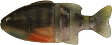 Load image into Gallery viewer, Javallon Gill
