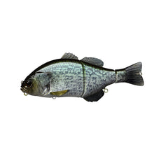 Load image into Gallery viewer, Gantarel Jr.
