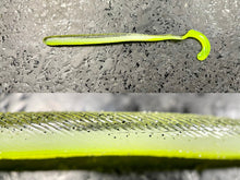 Load image into Gallery viewer, Curly Tail Worm
