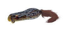 Load image into Gallery viewer, Softshell Showblows Frog
