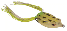 Load image into Gallery viewer, Bronzeye Frog
