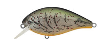 Load image into Gallery viewer, SH-3 Squarebill Crankbait
