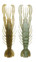 Load image into Gallery viewer, Hurry Shrimp
