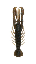 Load image into Gallery viewer, Hurry Shrimp
