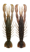 Load image into Gallery viewer, Hurry Shrimp
