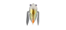 Load image into Gallery viewer, Siglett
