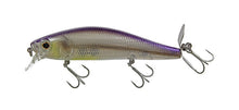 Load image into Gallery viewer, Spiral Minnow
