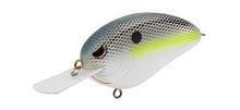 Load image into Gallery viewer, Little John XL
