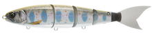 Load image into Gallery viewer, Balam 245
