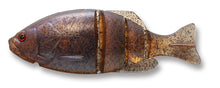 Load image into Gallery viewer, Gill Flat Swimmer
