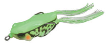 Load image into Gallery viewer, Kaera Frog
