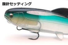Load image into Gallery viewer, RAID Osakana Swimmer
