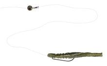 Load image into Gallery viewer, Hurry Shrimp

