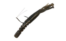 Load image into Gallery viewer, Hurry Shrimp
