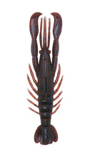 Load image into Gallery viewer, Hurry Shrimp
