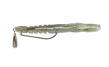 Load image into Gallery viewer, Hurry Shrimp
