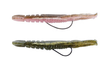 Load image into Gallery viewer, Hurry Shrimp
