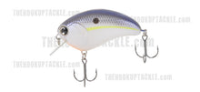 Load image into Gallery viewer, Bill Lowen Square Bill Crankbait
