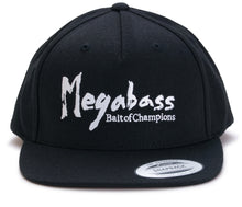 Load image into Gallery viewer, Brush Snapback Hat
