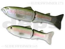Load image into Gallery viewer, Slide Swimmer 250
