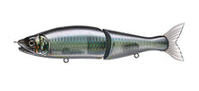 Load image into Gallery viewer, Jointed Claw 148
