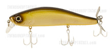 Load image into Gallery viewer, Spiral Minnow
